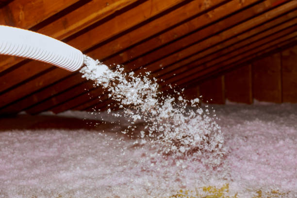 Best Insulation Replacement Services  in Richnd, MO