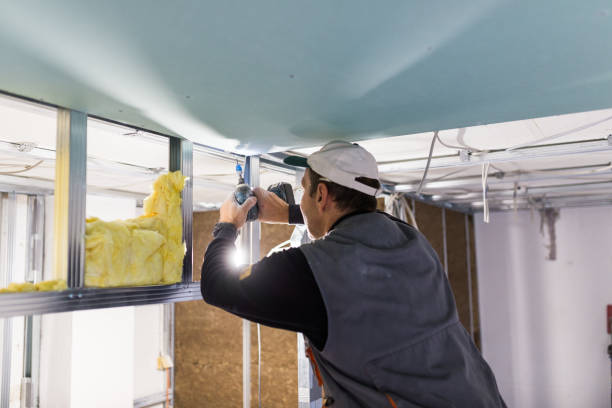 Best Insulation Inspection Services  in Richnd, MO