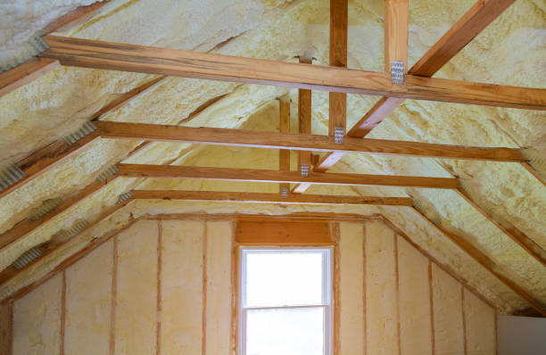 Best Soundproof Insulation Installation  in Richnd, MO
