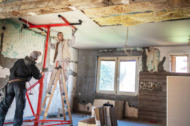 Best Local Insulation Services  in Richnd, MO