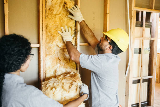 Best Energy-efficient Insulation  in Richnd, MO