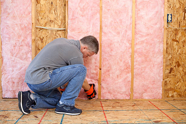 Best Attic Insulation Installation  in Richnd, MO