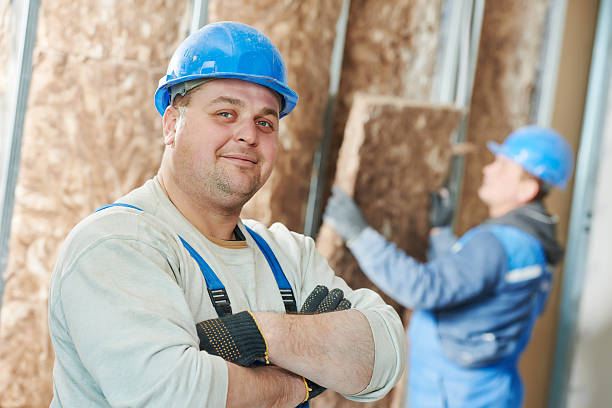 Best Insulation Replacement Services  in Richnd, MO